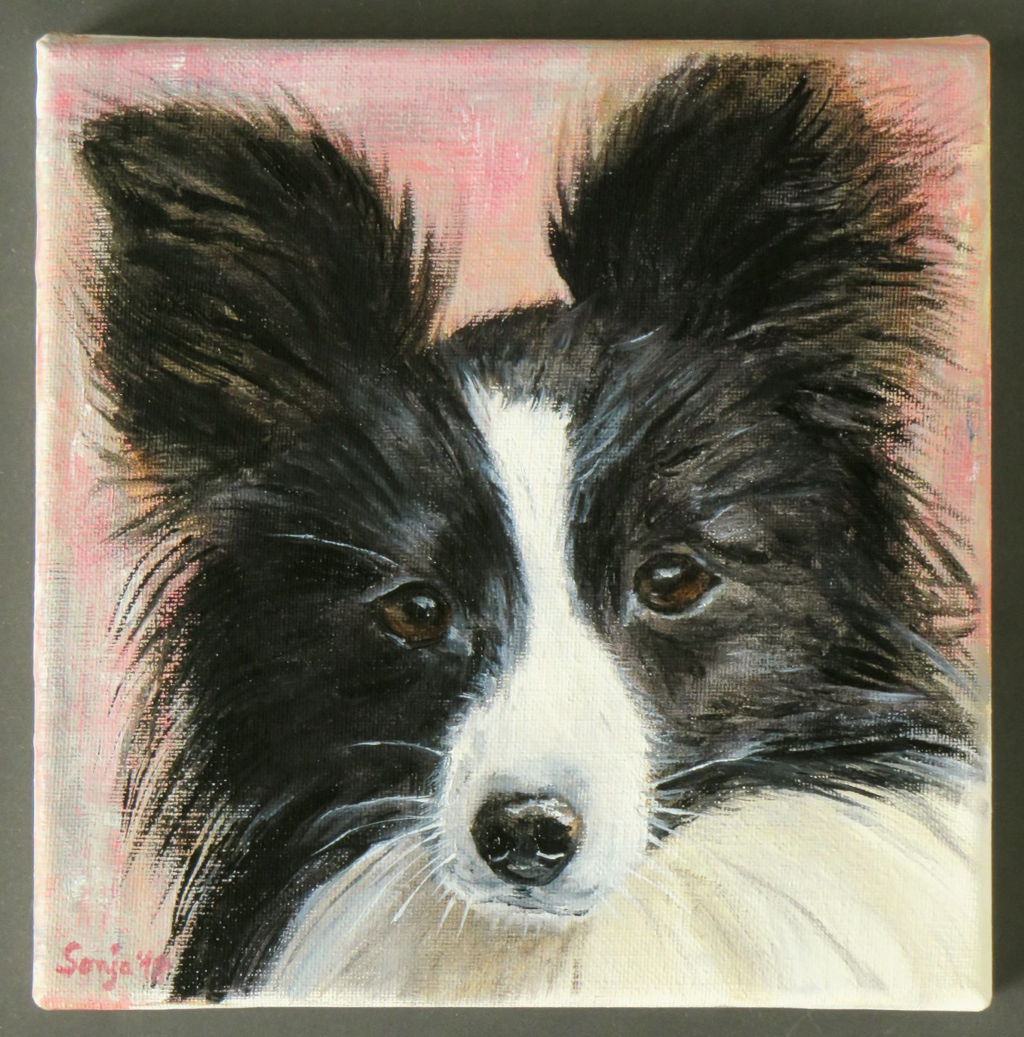 "Zorro", Öl auf Leinwand, 20 x 20cm *