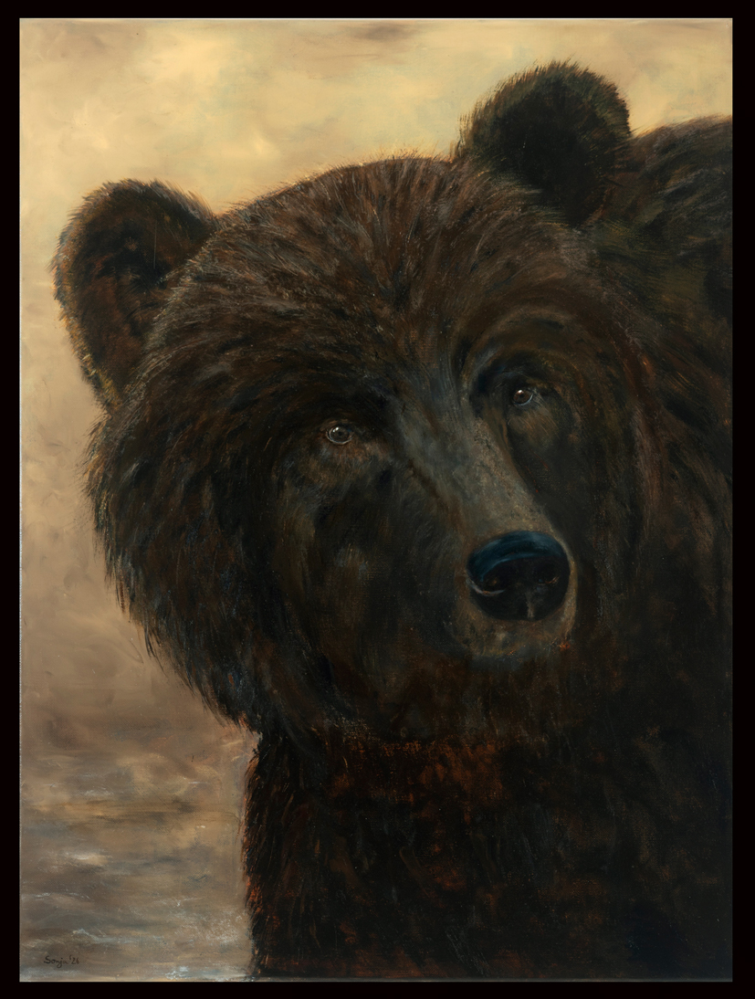 "Bär", Öl auf Leinwand, 60 x 80 cm