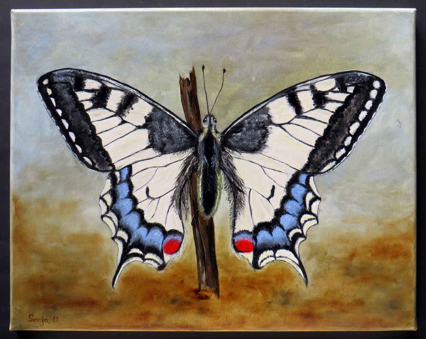 "Schwalbenschwanz", Öl auf Leinwand, 40 x 50cm