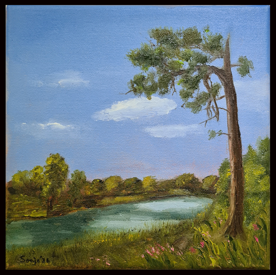 "Schwarzes Wasser", Heideweiher am Niederrhein, Öl auf Leinwand, 20 x 20 cm