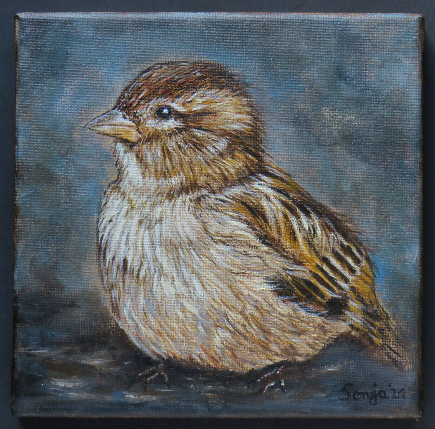"Sperling", Acryl auf Leinwand, 20 x 20cm *