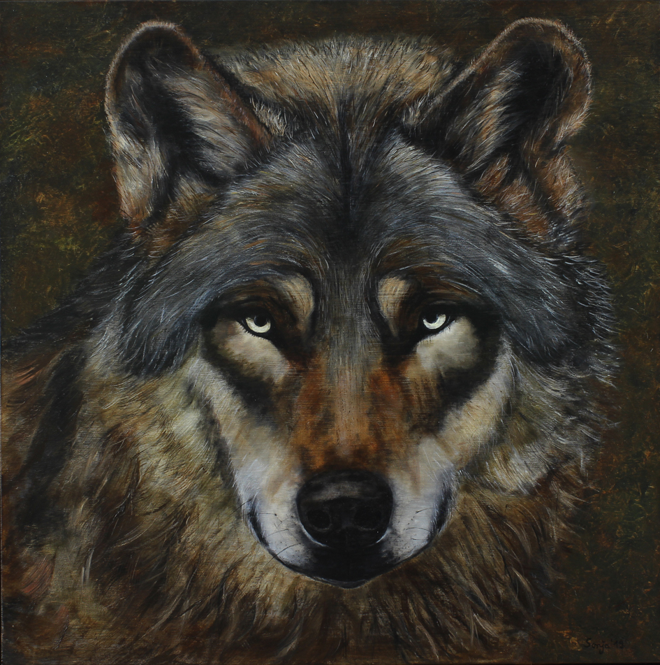 "Canis Lupus", Öl auf Leinwand, 80 x 80cm *