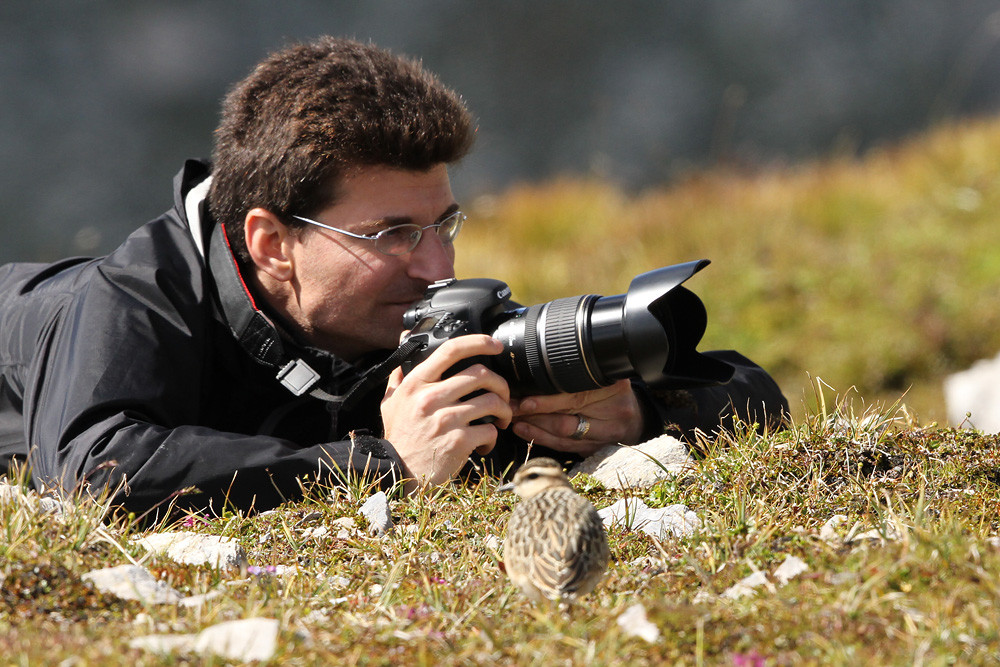 Wo zum Henker steckt dieser Vogel? - Flims 2014