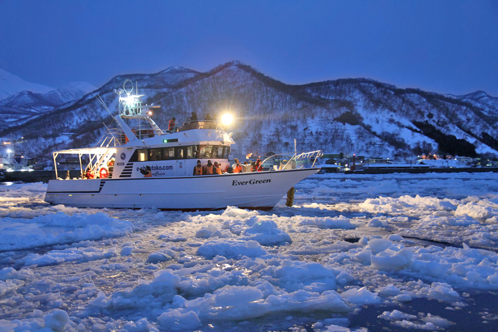 Bei den Riesenseeadler - Rausu, Hokkaido - Japan 2015