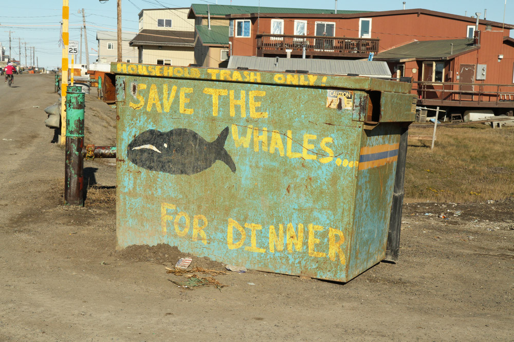 Barrow - Save the Whales... for Dinner ;) - Alaska 2013