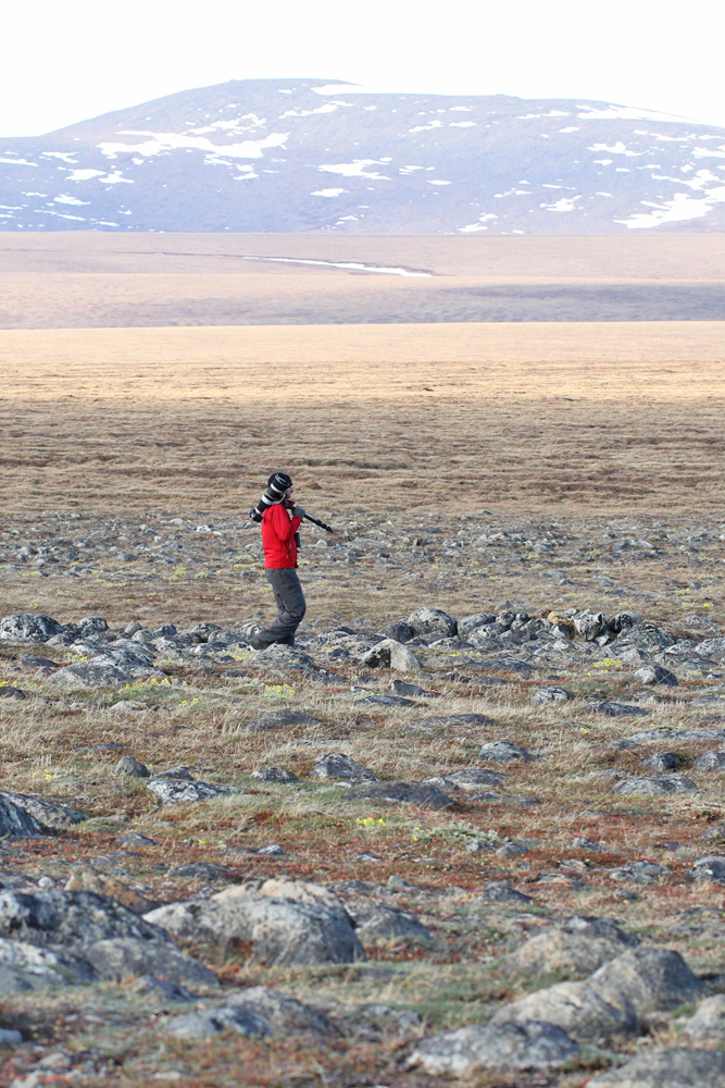 Nome - TellerRoad - Alaska 2013