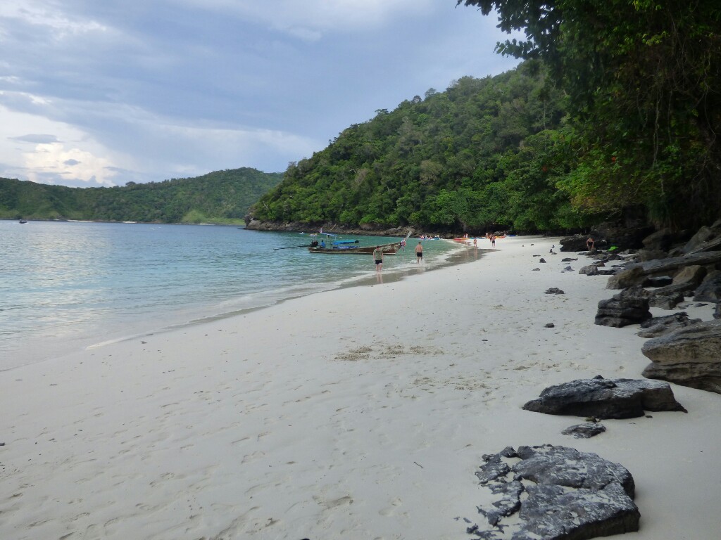 Monkey-Beach
