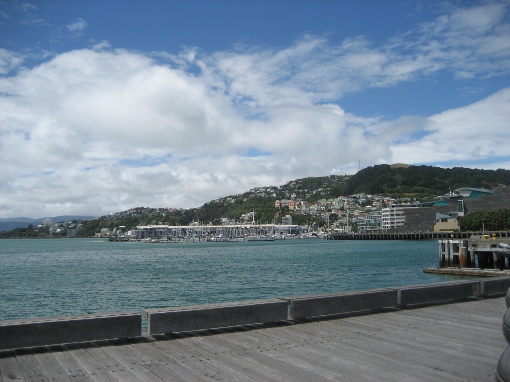 Bucht von Wellington