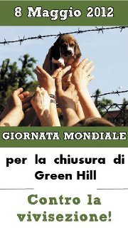 dog angels associazione supporta Fermare green Hill  