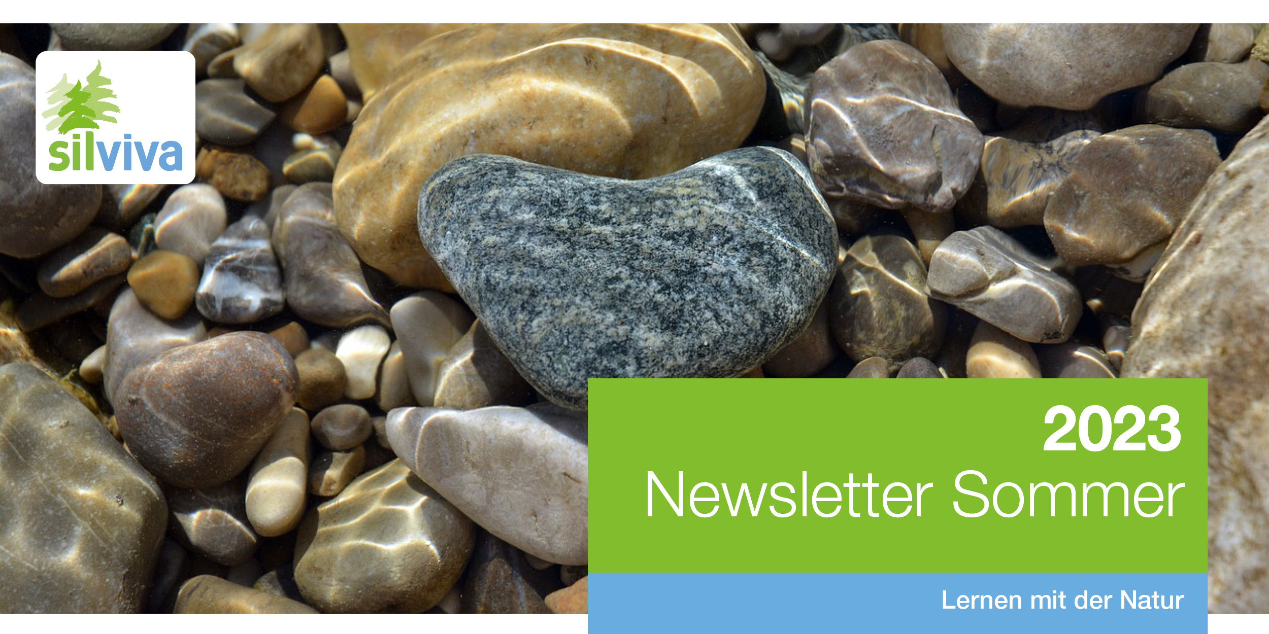 Header Newsletter