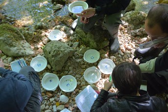 Kinder am Fluss - Bioindikation