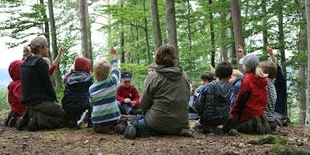 Lernort Natur: Schüler im Wald