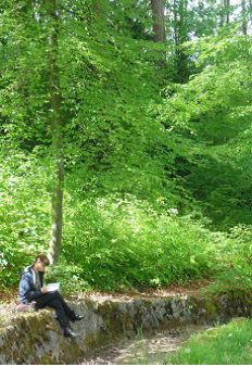 die ressourcenstärkende Bedeutung naturbezogner Umweltbildung im Wald
