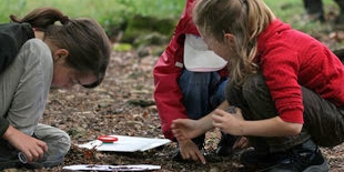 Klassenzimmer Natur: Kinder lernen draussen