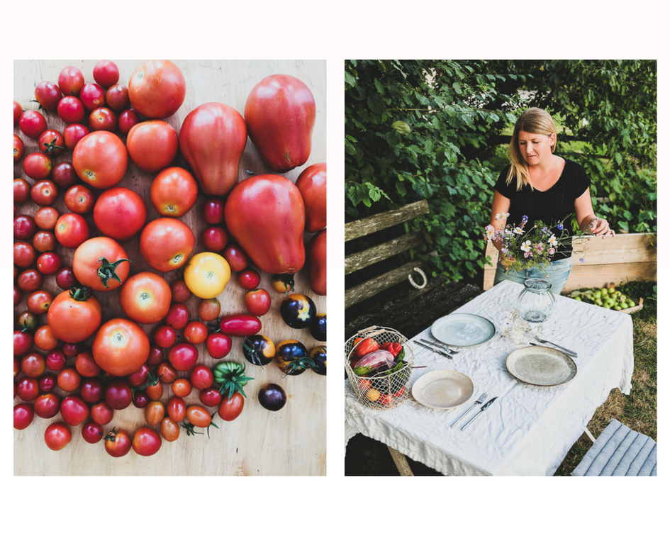 alte tomatensorten bilder