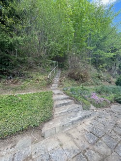 Treppe nachher