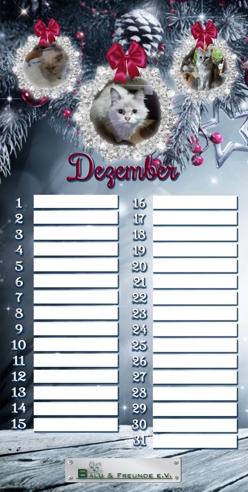 Kalenderblatt Dezember