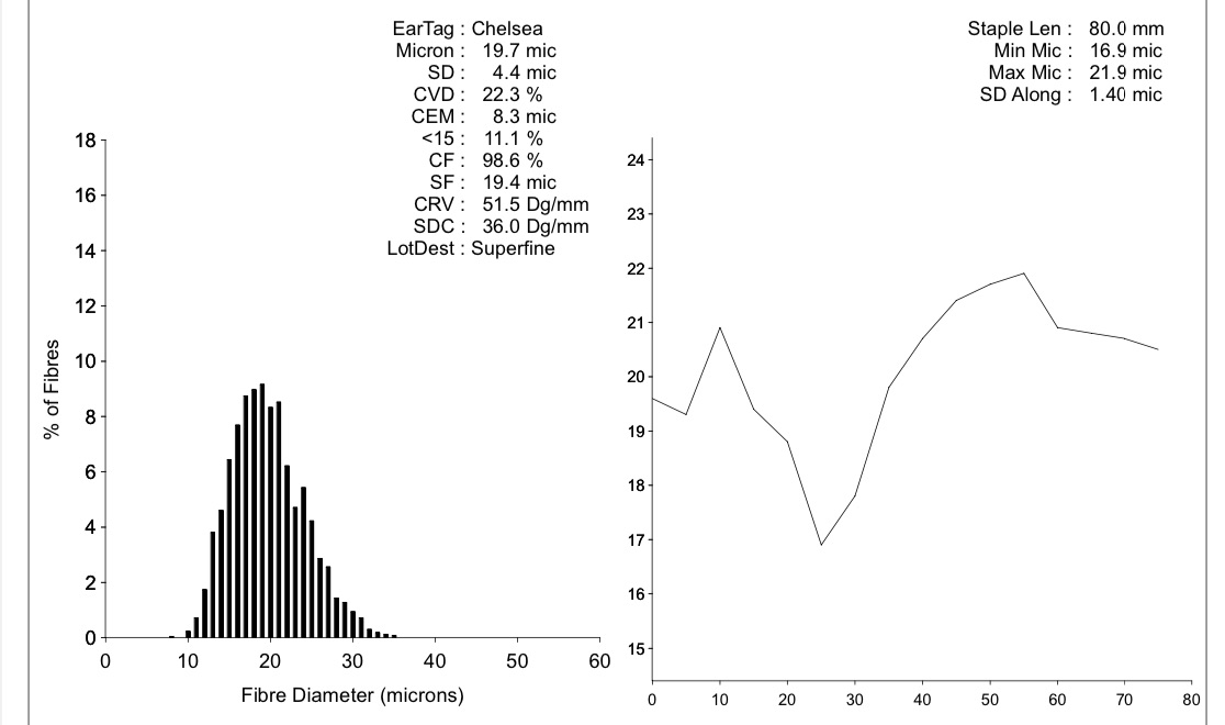 Histogram 2021, 7. Vlies