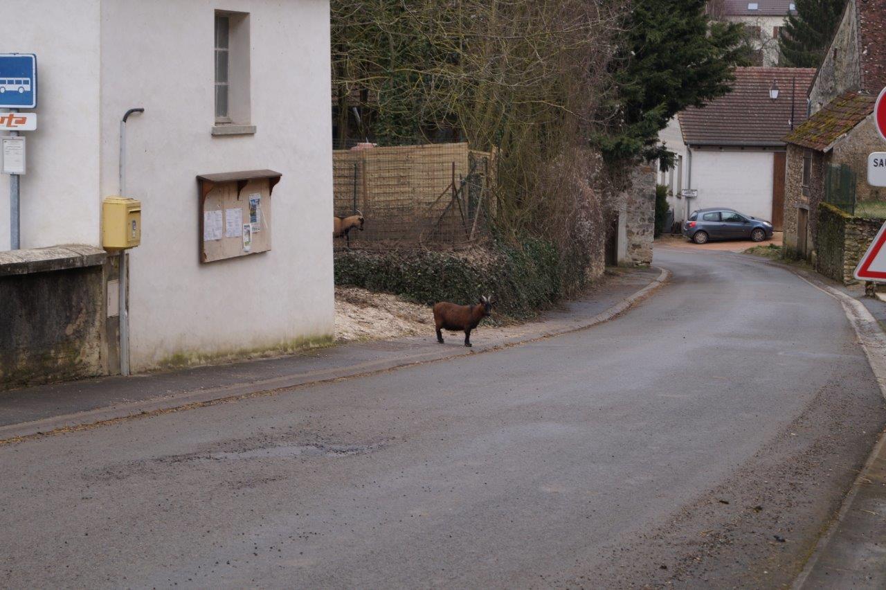 Je regarde avant de traverser la rue.
