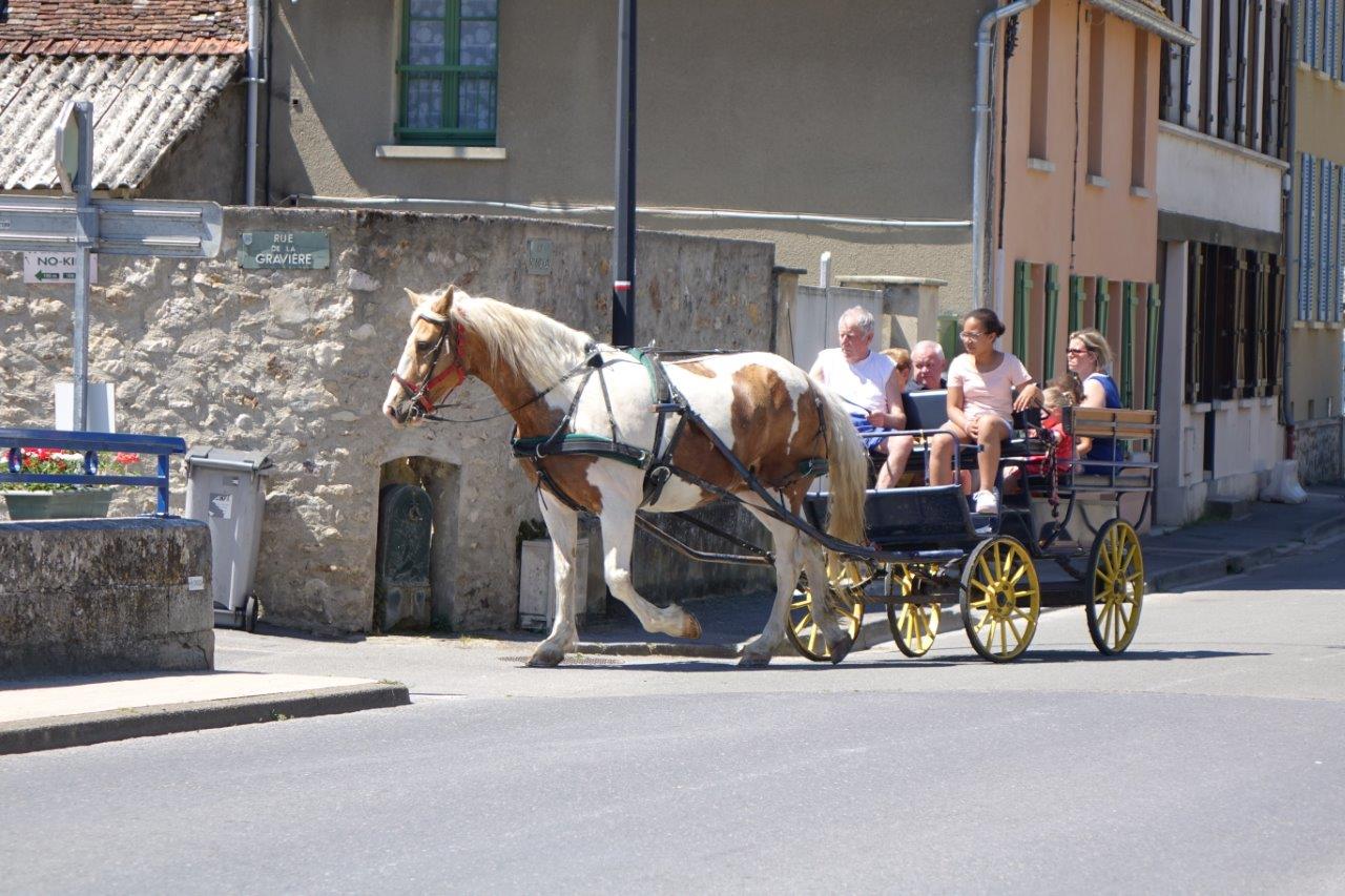 Edgar Vervaet, maire du village voisin de Montlevon et son attelage, ne ratent jamais les portes ouvertes.