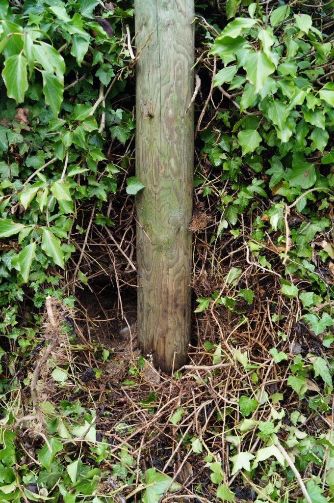 Le talon d'achille d'un poteau en bois.
