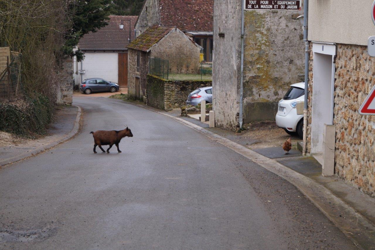 Je traverse la rue d'un bon pas.