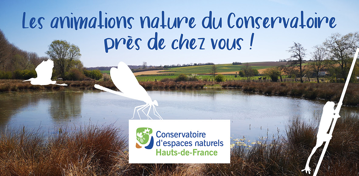 HautsdeFrance. Animations nature près de chez