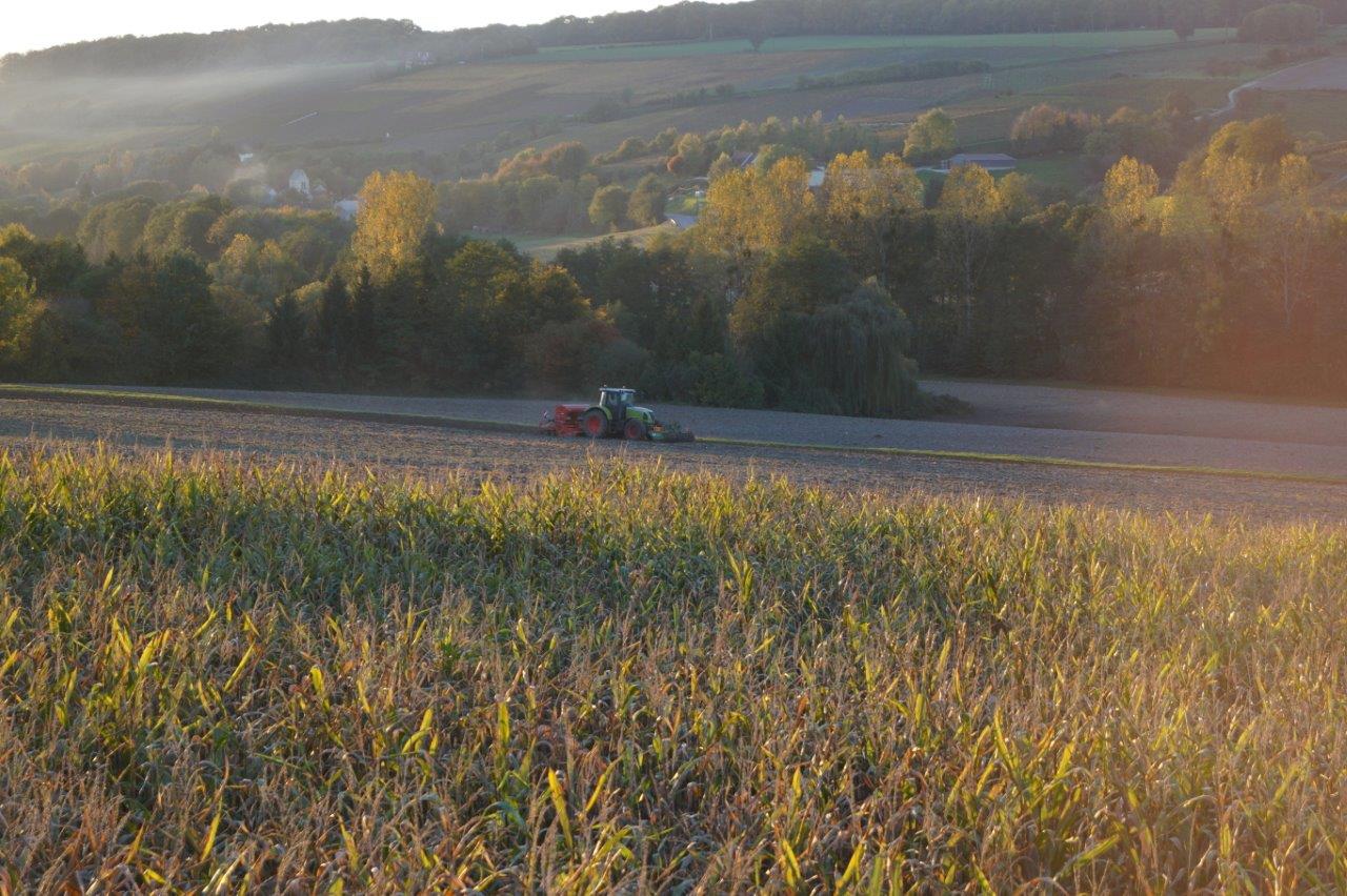 Par une belle journée d'automne, les agriculteurs du territoire sèment jusqu'au bout de la nuit.