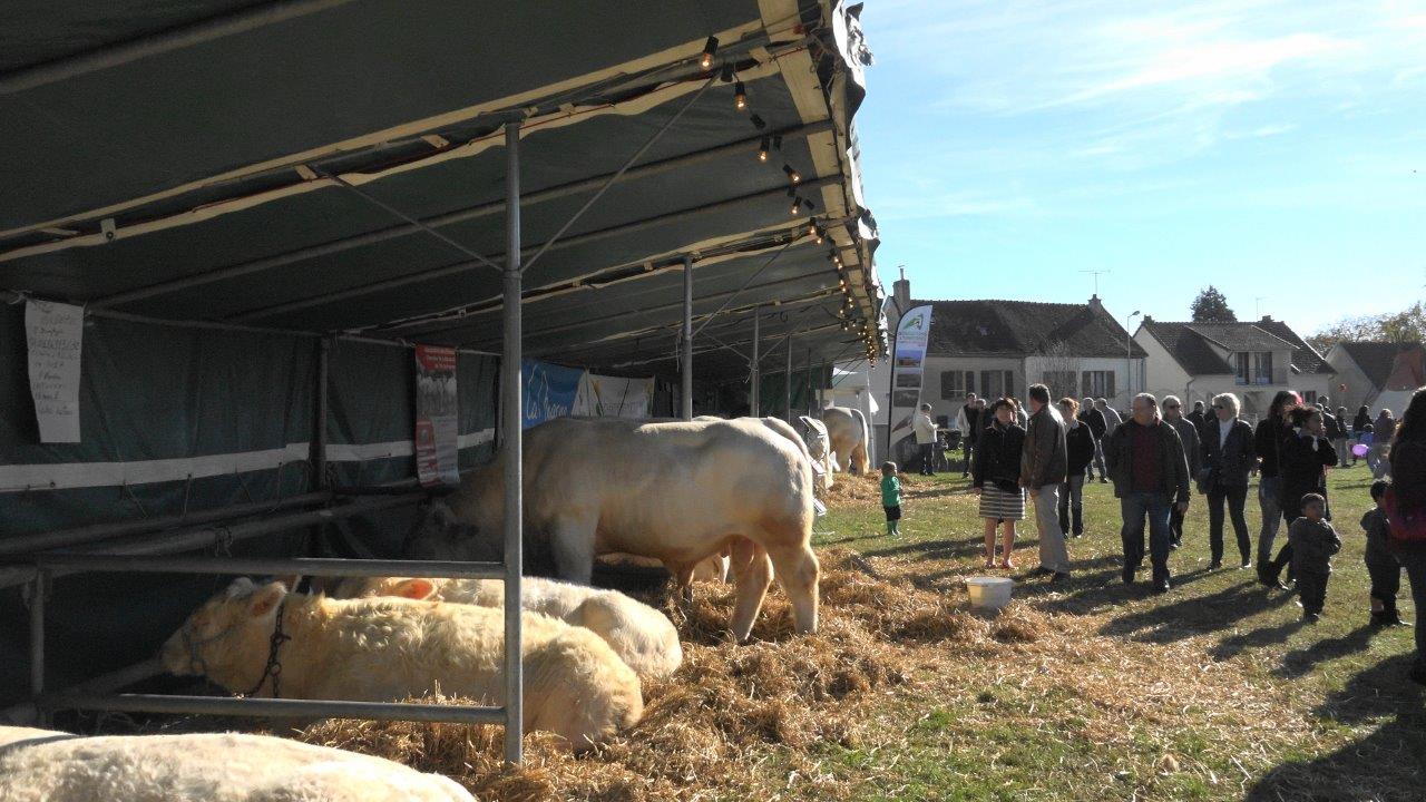 Une exposition remarquable de poids-lourds !