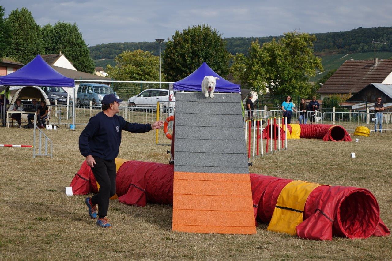 Le maître guide et le chien doivent être particulièrement agiles pour se jouer des obstacles...
