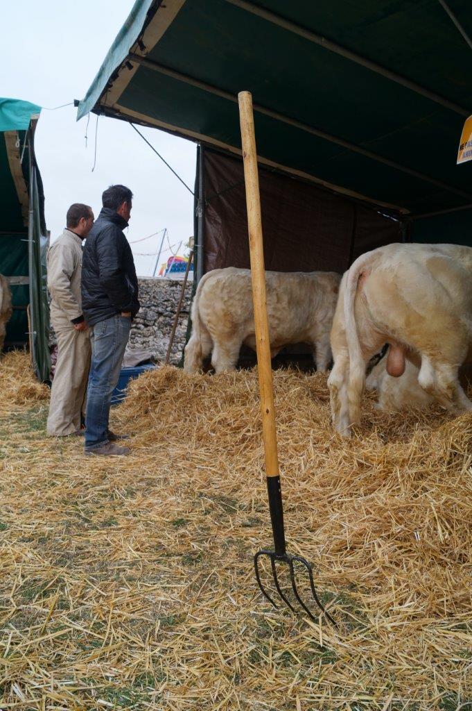 L'Association des Éleveurs Charolais de la Marne et de l'Ile de France est dans la place pour la dix-septième année consécutive.