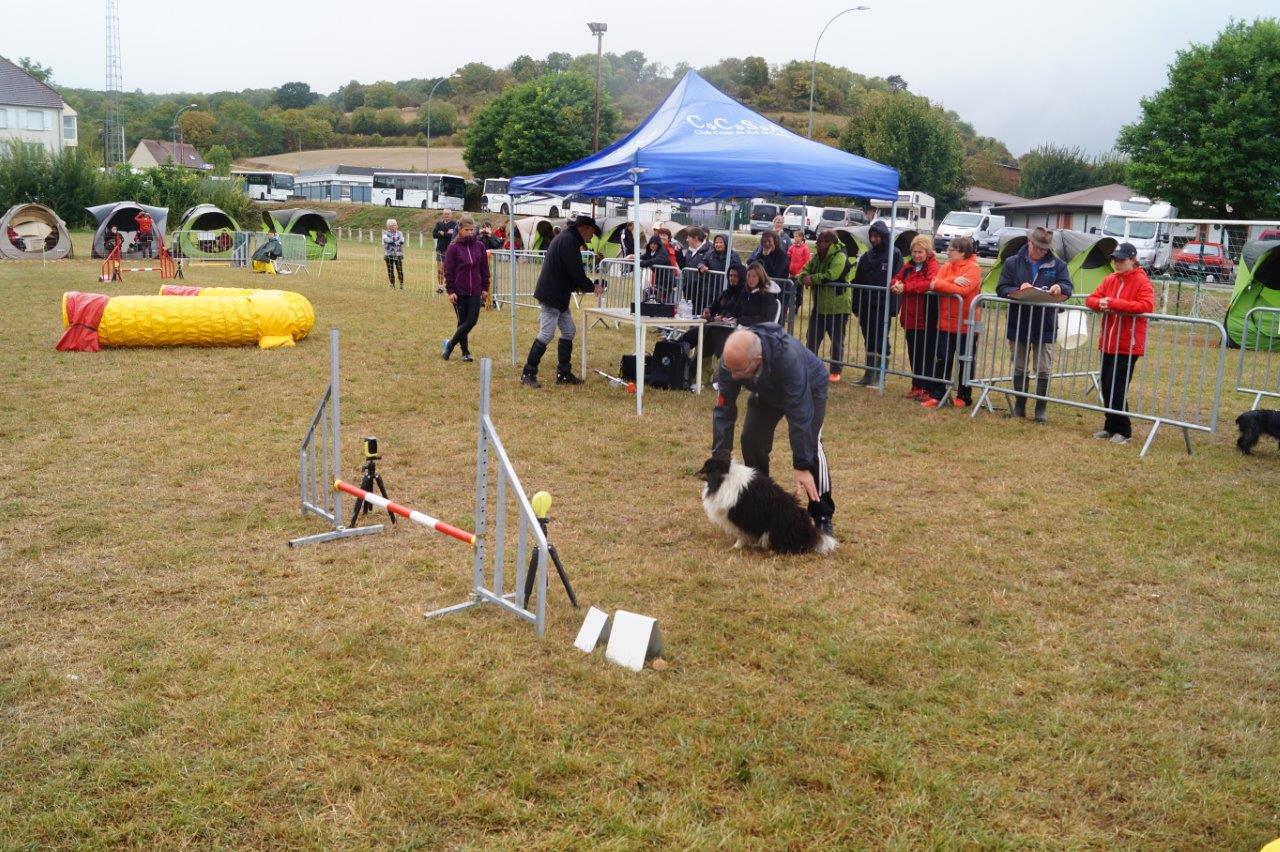 Conducteurs et chiens effectuent ici un parcours de jumping...