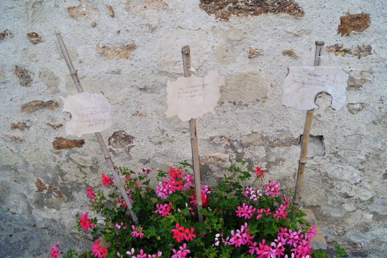 Les haïkus des élèves de CM2 de l'école publique de La Madeleine de Château-Thierry sont plantés dans les potées et le parterre fleurissant la place de l'église...