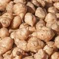 rutabaga