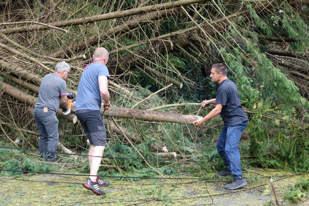 De gauche à droite : les Condéens Michel Hazard, Georges Lefèbvre et Dany Tutin ont retroussé leurs manches comme bien d'autres, tôt dimanche matin, pour dégager les arbres...