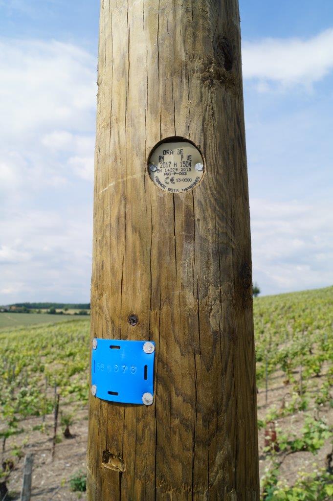 Un poteau fabriqué dans la Loire par France Bois Imprégnés, 1er producteur français des poteaux électriques et télécommunications.