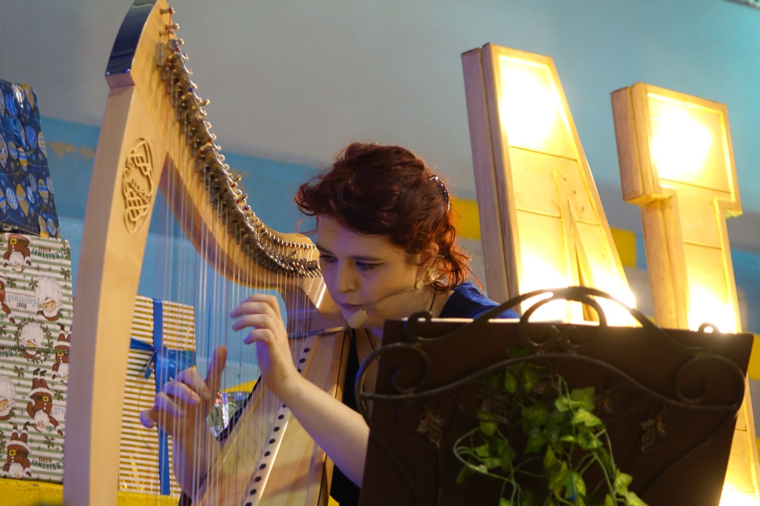 Intermède musical avec la harpiste Telennaria.