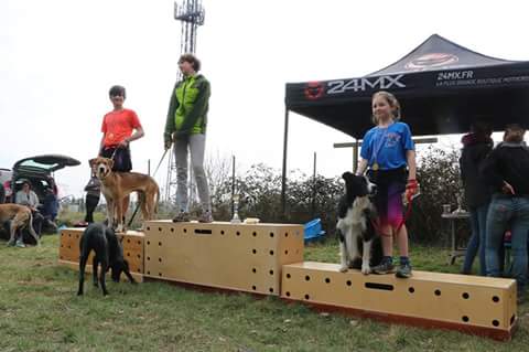 Le 29 mars 2018, Clémentine et H'Zeus terminent sur la 3ème marche du podium au classement scratch (garçons et filles) du canicrosss organisé par le Club des Cani-n'Furious (78).