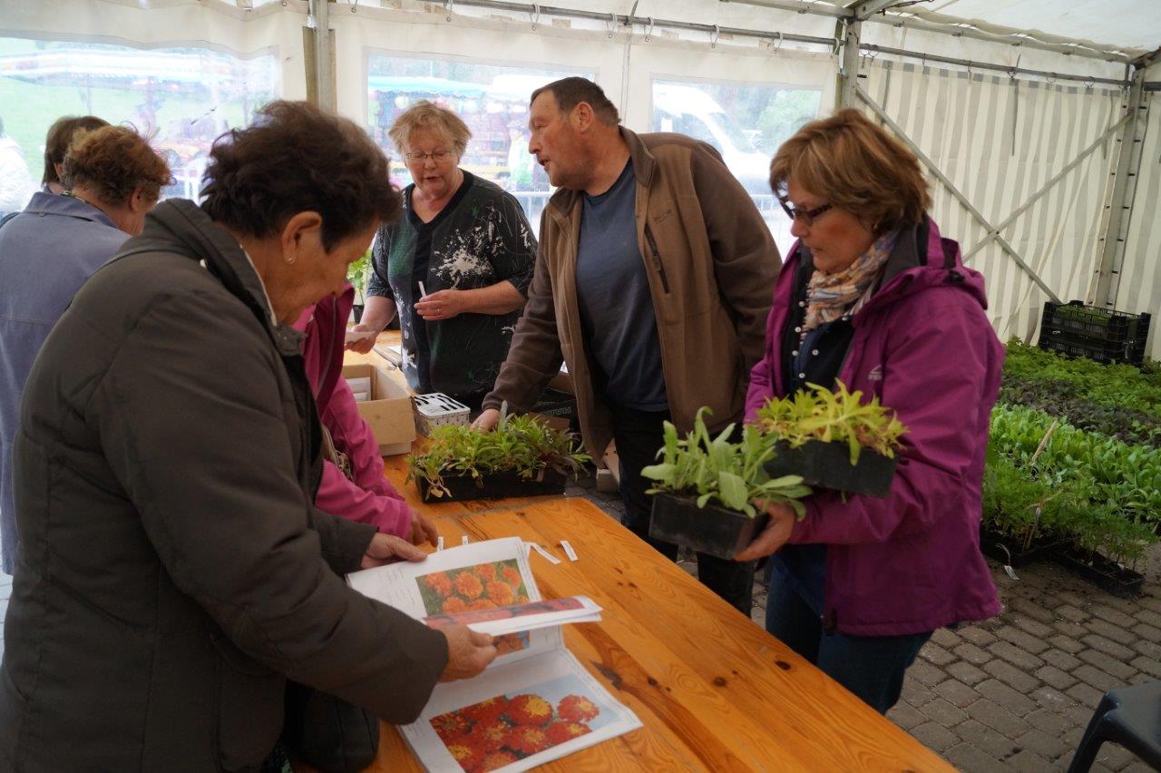 Organisatrice de la manifestation, l'association pour le fleurissement de Dormans et ses hameaux proposait un large choix de plants.