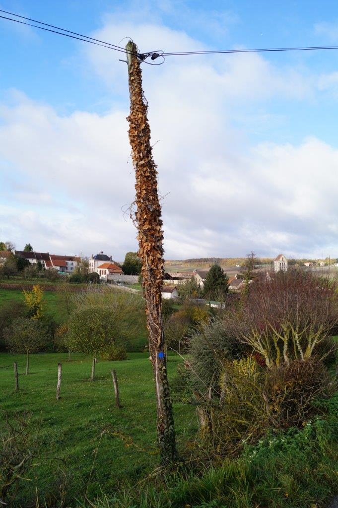 Ce poteau aura eu une belle carrière professionnelle.