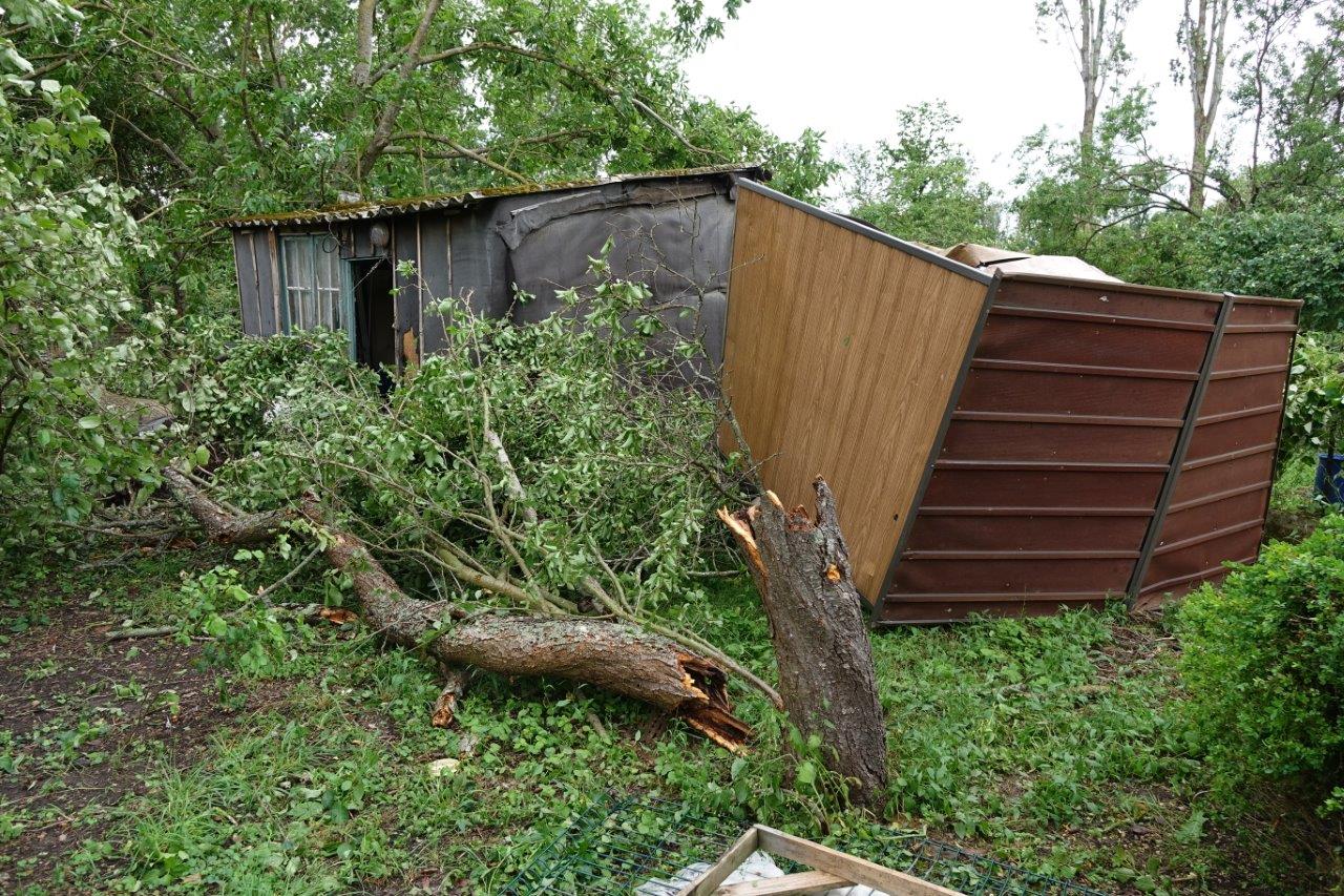 Arbres déracinés, cassés : la tornade a fait le tour des jardins...