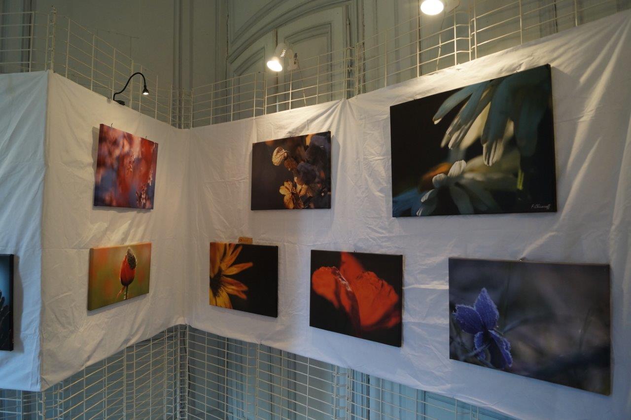 "Perles de pluie et Ombres de lumière" est une exposition photo fascinante de Florence Chivaroff.