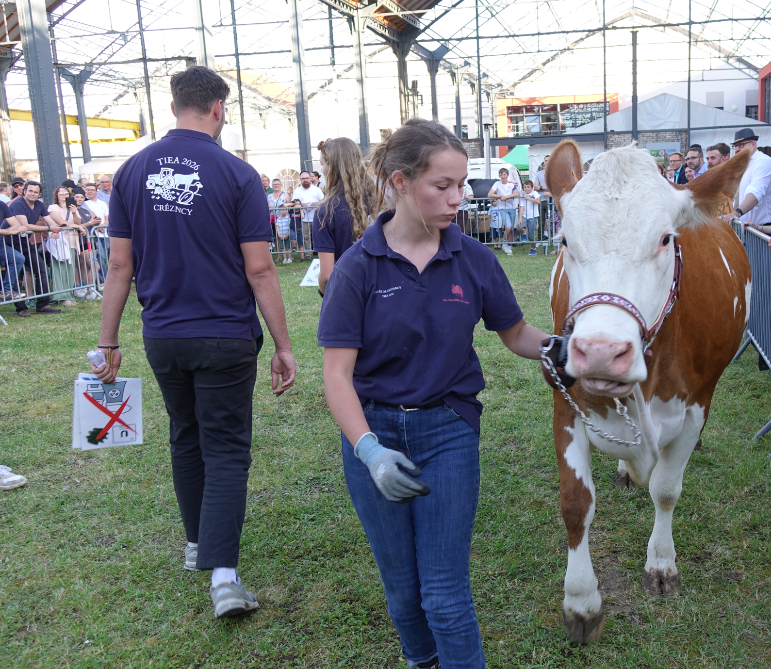 Lors du dernier Salon International de l'Agriculture, l'équipe du Lycée Agricole et Viticole de Crézancy s'est classée première de section en race laitière lors du Trophée International de l’Enseignement Agricole.