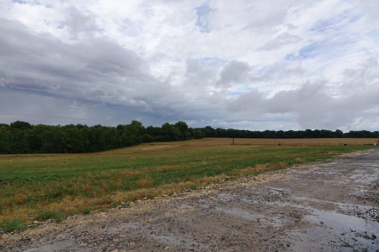 Le parcours plein air de 16 hectares est en cours d'aménagement...