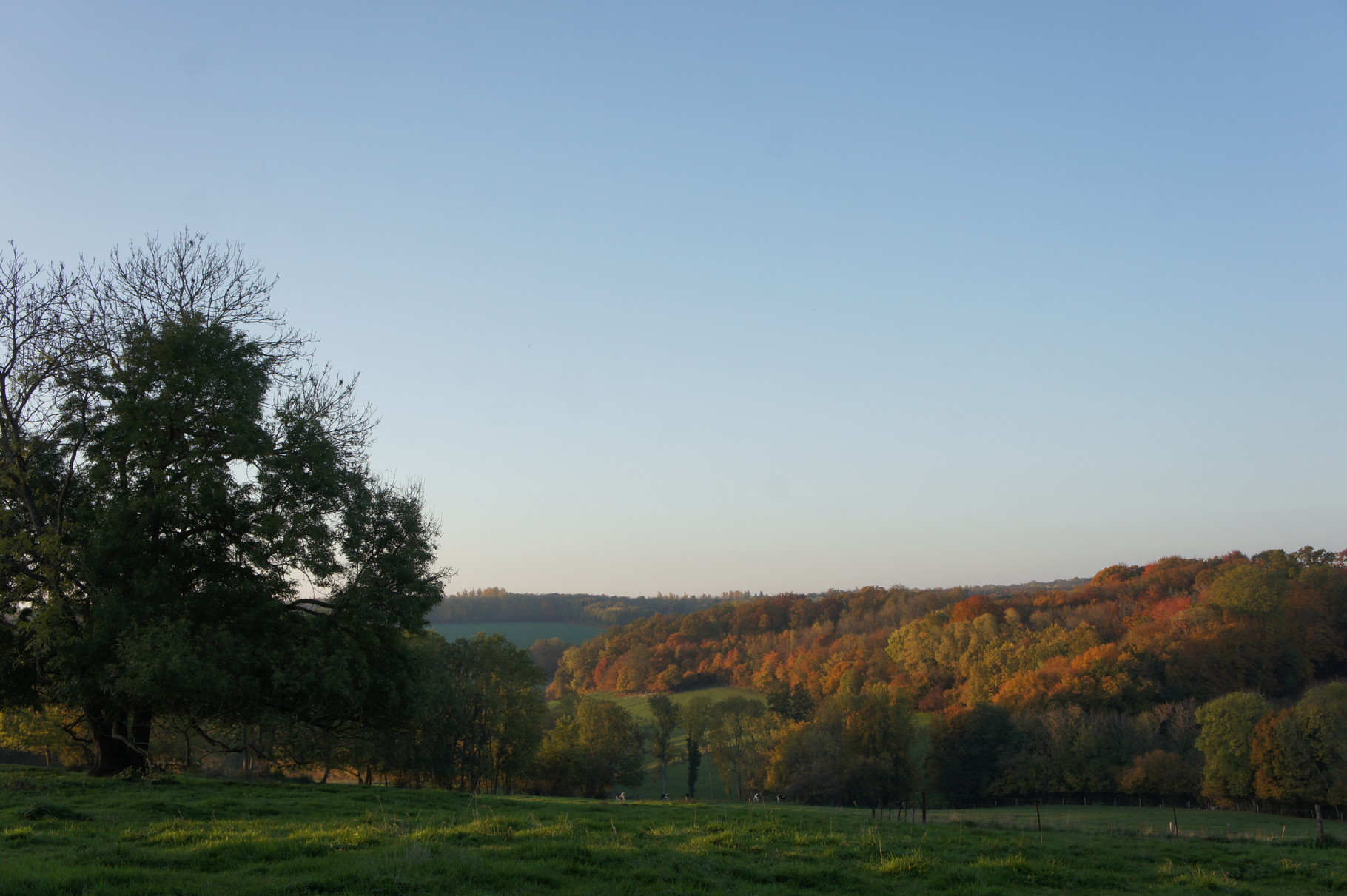 La Chapelle-Monthodon