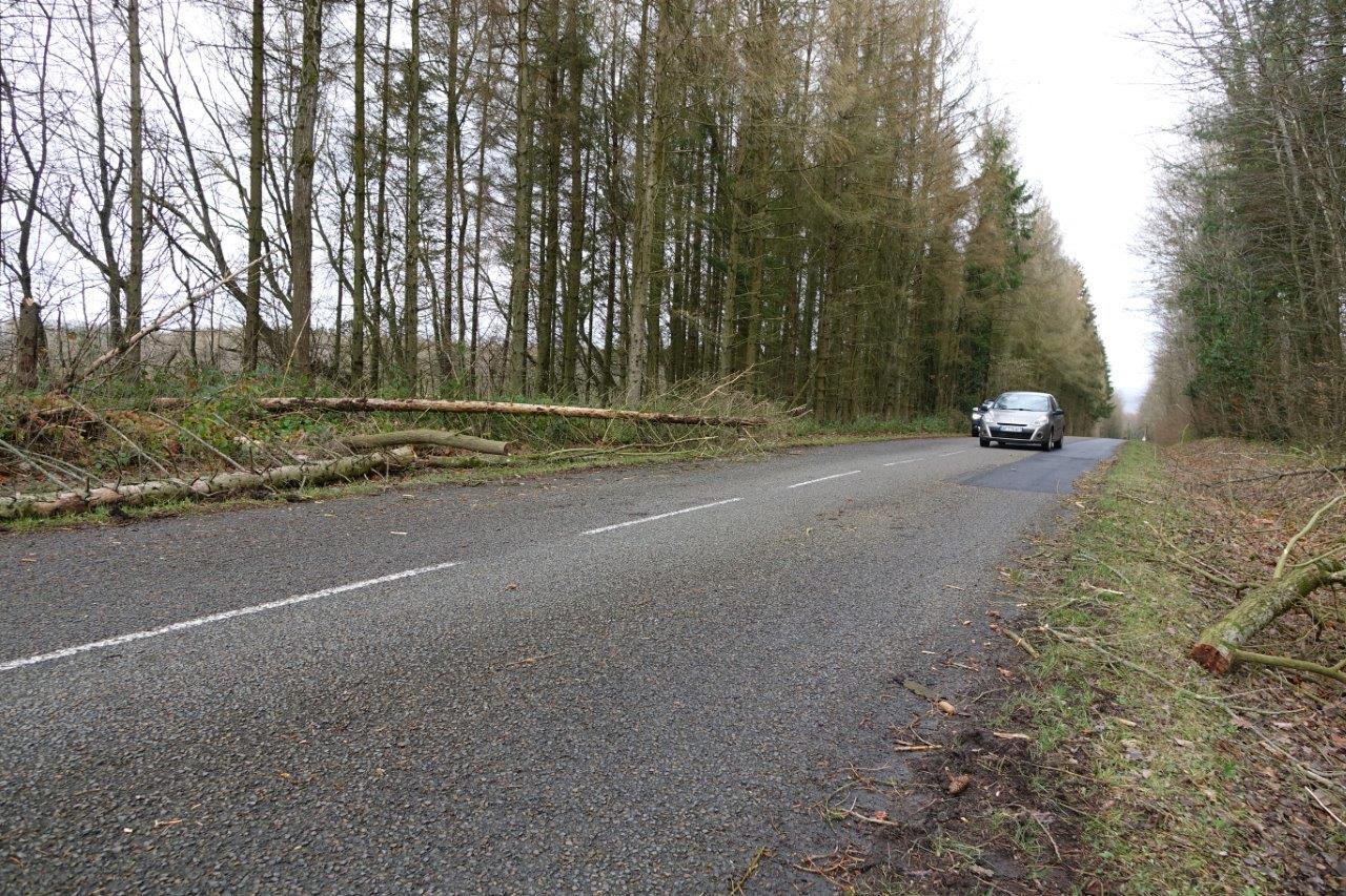 Les véhicules roulent à allure modérée sur ce tronçon de la RD41.