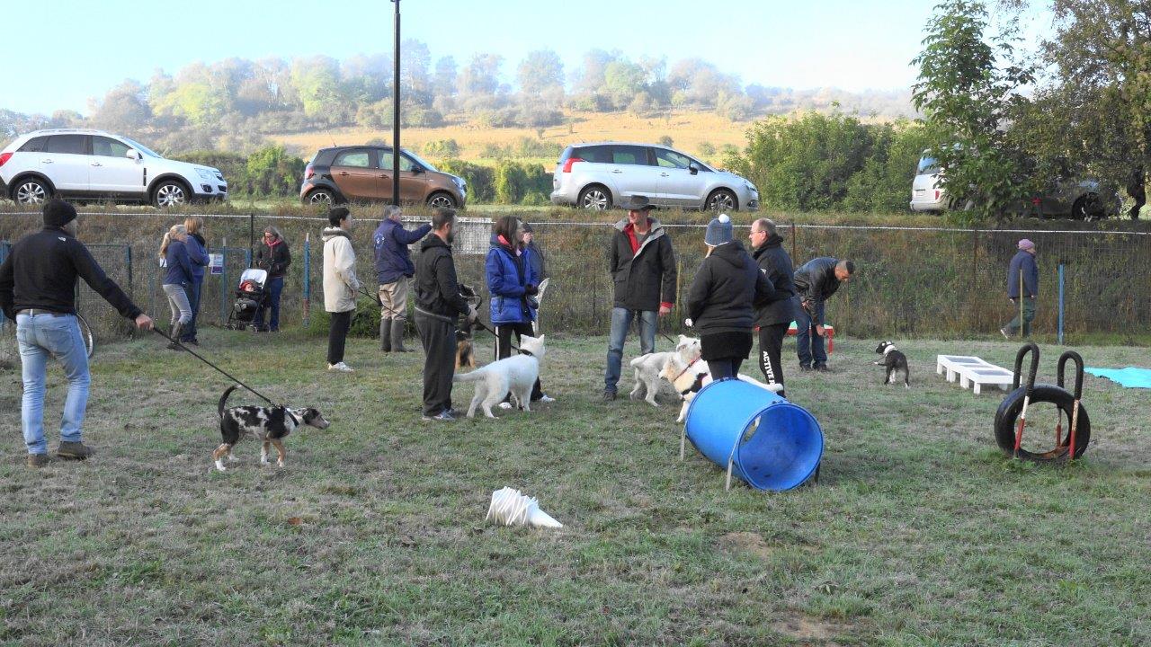 Maîtres et chiens, ensemble, pour les salutations du matin.