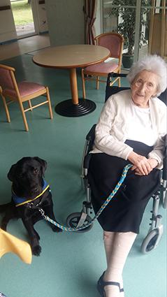 Marie-Louise Willems est ici avec Milo, le chien d'accompagnement sociel. Ce dernier officie dans les EHPAD de l'agglo depuis cette année.