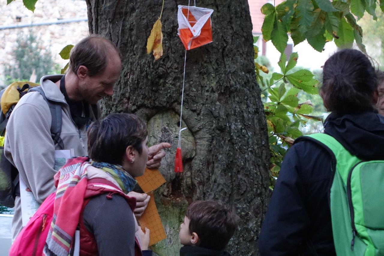 Seize balises étaient disséminées sur le parcours.