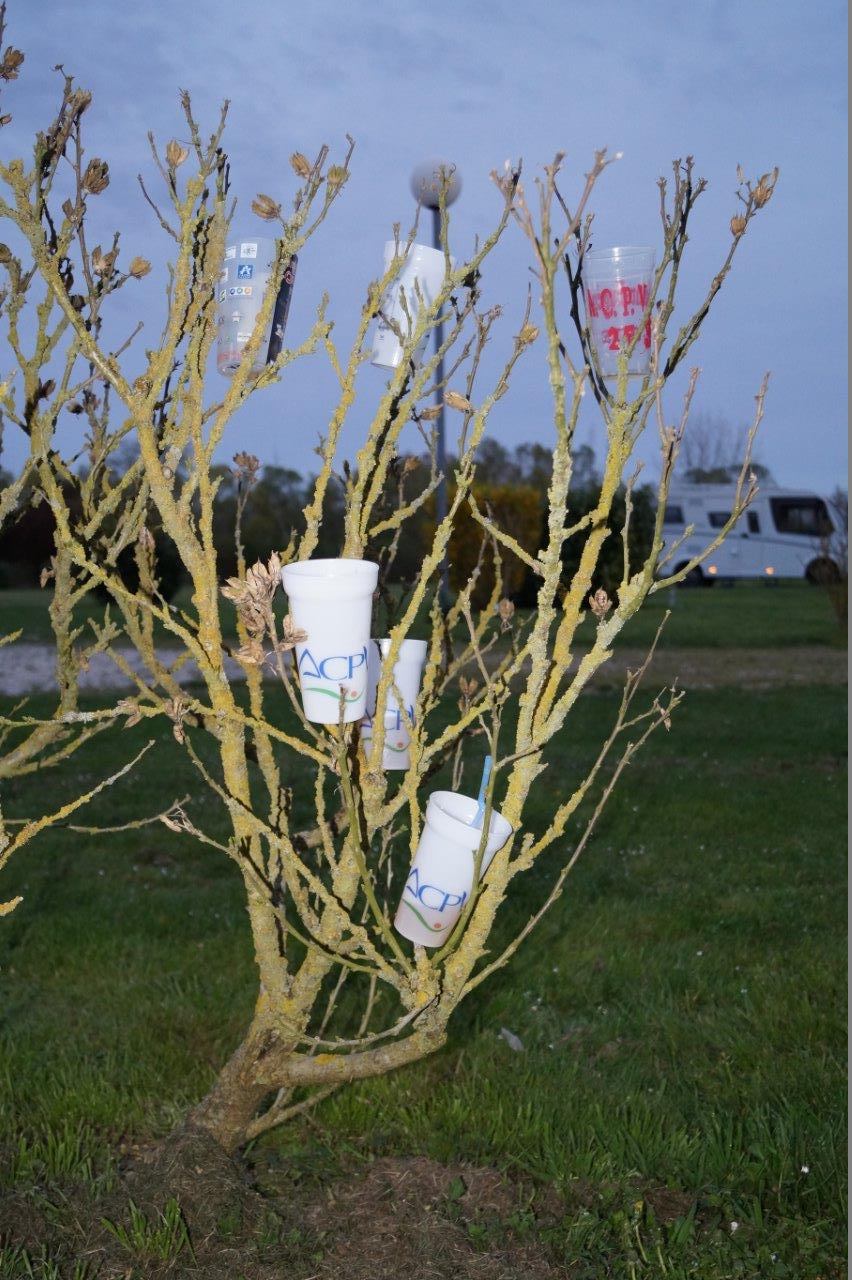 L'arbre à verres est une installation éphémère de l'ACPV Saint-Eugène.